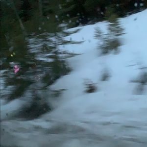 Meet your Posher, Shane